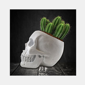 Skull Cactus Planter