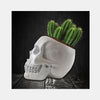 Skull Cactus Planter